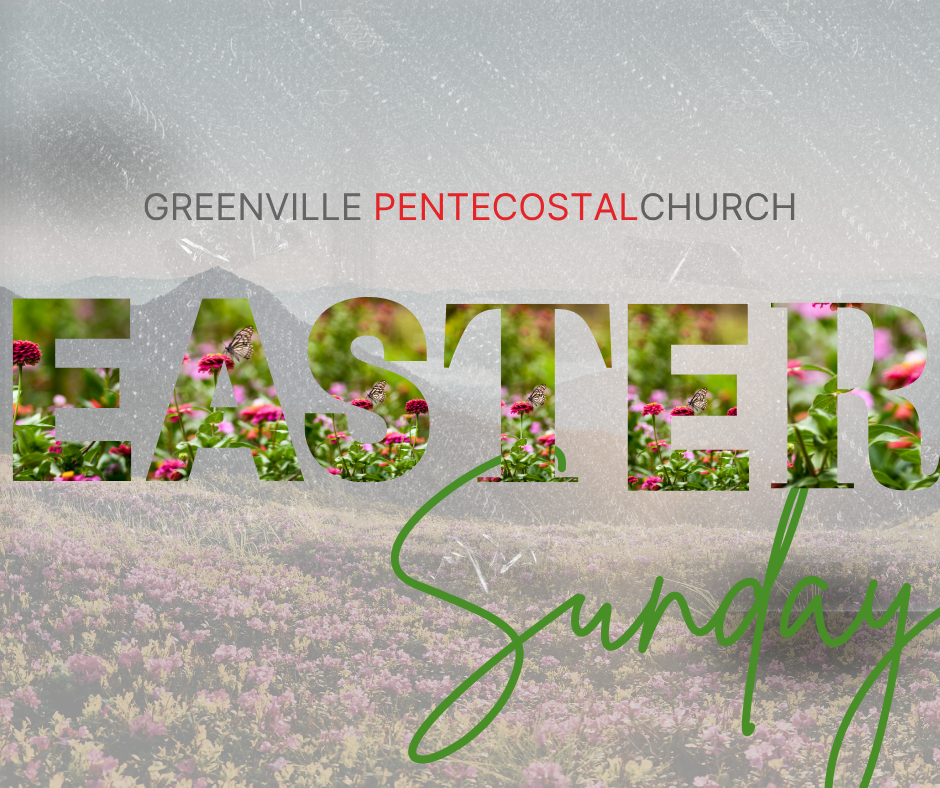 tco-content-dock-image